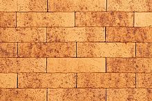 ТАЙГА СКАЛА МОРОШКА 1НФ