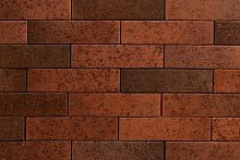 ТАЙГА МОРИОН НА ЗАРЕ 1НФ